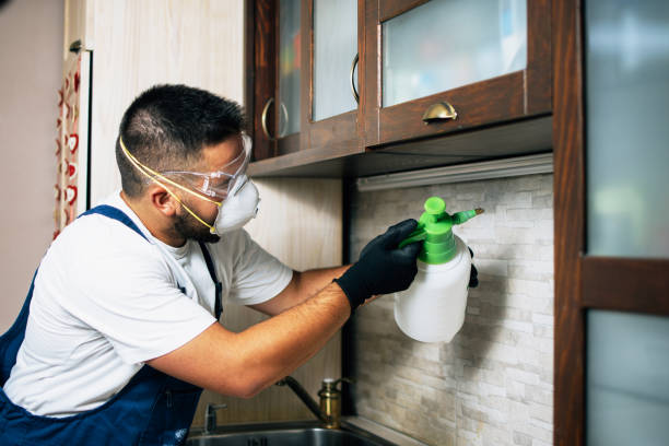 Best Affordable Pest Control Services  in Lafayette, TN
