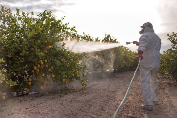 Best Mosquito Control Services  in Lafayette, TN