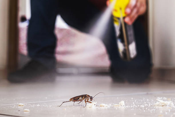 Best Pest Removal Services  in Lafayette, TN